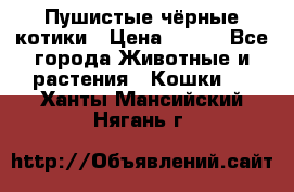 Пушистые чёрные котики › Цена ­ 100 - Все города Животные и растения » Кошки   . Ханты-Мансийский,Нягань г.